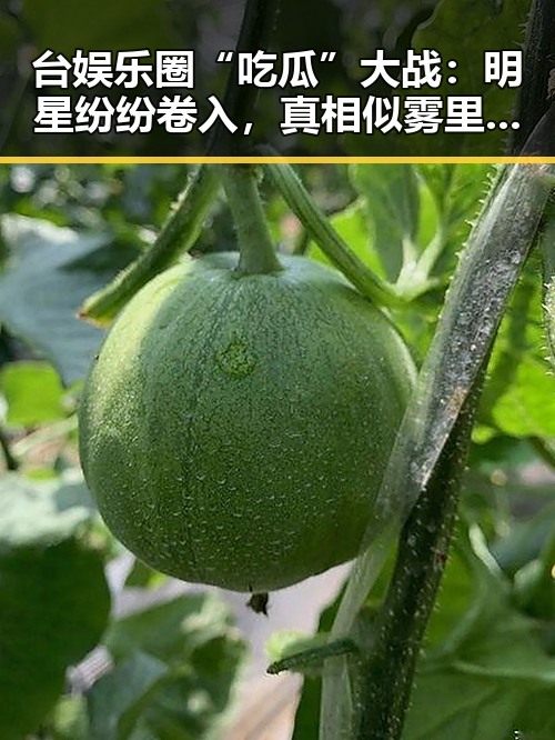 台娱乐圈“吃瓜”大战：明星纷纷卷入，真相似雾里看花