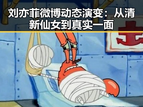 刘亦菲微博动态演变：从清新仙女到真实一面