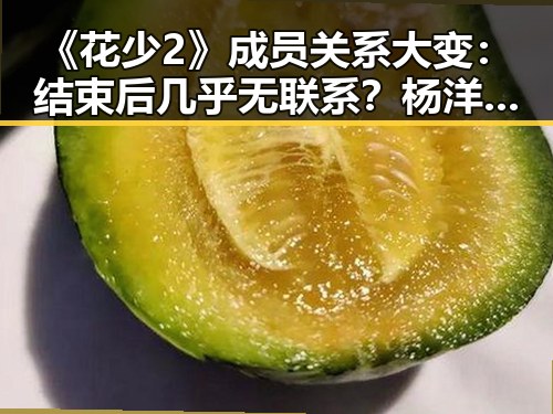 《花少2》成员关系大变：结束后几乎无联系？杨洋过年短信暖心一幕引热议