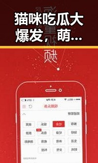 猫咪吃瓜大爆发，萌化你的心！欢乐无限的网红猫咪们现身说法🐱🍉