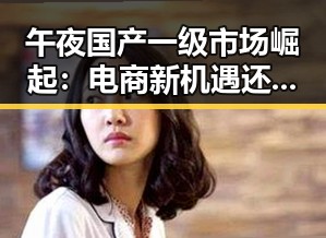 午夜国产一级市场崛起：电商新机遇还是隐忧？